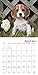 Shake Cats 2018 Calendar