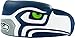 NFL Foamhead