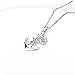 YFN Anchor Necklace, 925 Sterling Silver Anchor Star Necklace Ship Jewelry for Women
