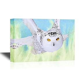 Canvas Wall Art - A Snowy Owl (Bubo Scandiacus) - Gallery Wrap Modern Home Art | Ready to Hang - 12x18 inches