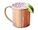 Alchemade 100% Pure Superior Grade Copper 14 ounce Mug for Moscow mules, Cocktails, and other beverages - Seamlessly handmade with food safe lacquer