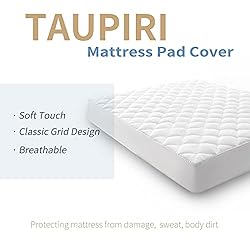 Taupiri Twin Quilted Mattress Pad Cover with Deep