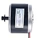 YaeTek 24V Electric Motor Brushed 250W 2750RPM Chain for E Scooter Drive Speed Control