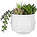 MyGift 4-Inch White Ceramic Multiple Face Shaped Vase Plant Pot, Guanyin Design Small Plants Cactus Succulent Planter