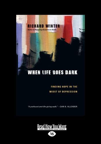When Life Goes Dark: Finding Hope in the Midst of Depression Paperback – Large Print, 23 Jul 2013