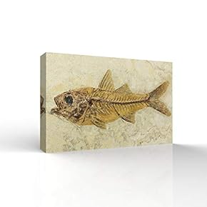 Fish Vintage Fossil Bedroom Art