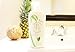 Coco Fiji Face & Body Lotion Infused With Coconut Oil | Lotion for Dry Skin | Moisturizer Face Cream & Massage Lotion for Women & Men | Tea Tree Spearmint 12 oz, Pack of 1