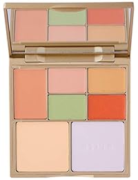 Correct & Perfect All-in-One Paleta de corrección de color