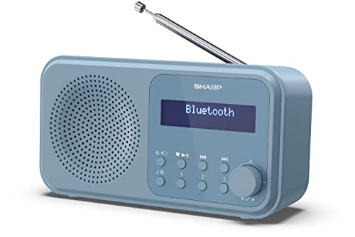 DR-P420(BL) Tragbares DAB+ Radio mit Bluetooth 5.0, DAB+/FM, USB- oder Batteriebetrieb, Dual-Wecker, 40 Senderspeicher, Kopfhöreranschluss – Tokyo Digitalradio Steel Blue