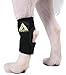 Dog Canine Rear Leg Hock Joint Wrap Protects Wounds as They Heal Compression Brace Heals and Prevents Injuries and Sprains Helps with Loss of Stability Caused by Arthritis by My Pro Supports