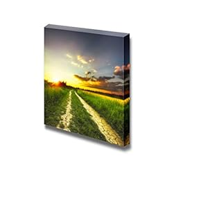 Rural Landscape Path in The Field at Sunset Wall Decor