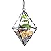 NCYP Mini Clear Glass Octahedron Shape Diamond Geometric Air Plant Terrarium Wall Hanging Pot Planter Vase Side Length 3x3.5inches (5.9 inches with Loop), No Plants Included