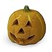 Ceramic Carved Pumpkin | Fireproof Ceramic Decoration for Fire Pits and Fireplaces | Faux Halloween Decor, Single Pumpkin