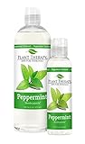 Plant Therapy Peppermint Hydrosol (Flower Water, Floral Water, Hydrolats, Distillates) Bi-Product of Essential Oils