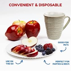 Hygloss Products 69109 Paper Plates