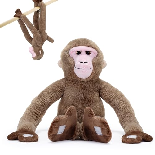 Japanese Snow Monkey