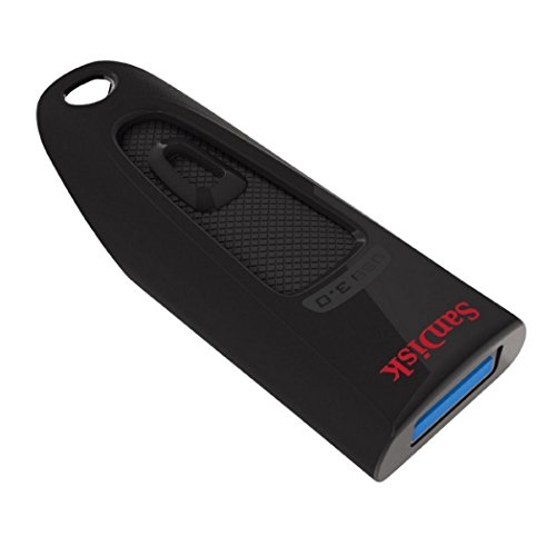 SanDisk 32GB (Five Pack) USB 3.0 Flash Ultra Memory Drive CZ48 - Bundle with (2) Everything But Stromboli Lanyard