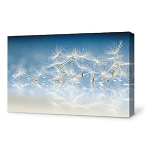 Canvas Wall Art for Living Room,Bedroom Home Artwork Paintings Dandelion Ready to Hang - 12x18 inches