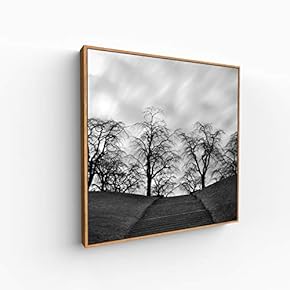 Canvas Wall Art for Living Room, Bedroom Monochrome Image Framed Canvas Prints for Home Decoration Ready to Hang - 16x16 inches