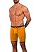 Obviously Lumber Collection - AnatoFREE Boxer Brief 9 inch Leg (Large, Old Gold)