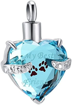 Cremation Jewelry for Ashes, My Best Friend Heart Shape Memorial Urn Necklace Stainless Steel Crystal Pendant Ashes Holder Keepsake