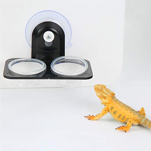 5 SLSON+Acrylic+Improved+Suction+Reptiles