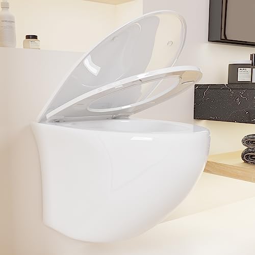 Simple Project Onepiece Wall Hung Toilet System Wall Hung Toilet