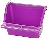 Living World Seed Cup with Perch, Large, Assorted