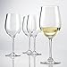 LeadingWare Group Indoor/Outdoor Chardonnay Wine Glasses, Set of 4