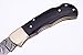 GladiatorsGuild 6011H Damascus Steel Best Folding Pocket Knife Cool Camping Hunting Knives Unique Damascus Blade Pattern (Black Horn)
