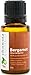 Bergamot Essential Oil - 100% Best Pure Therapeutic Grade 15ml (Comparable to DoTerra and Young Living) For Calming and Focus