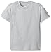 Champion Boys Big Short Sleeve Jersey Tee, Light Steel, Small