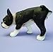 Design Toscano Lifting a Leg Naughty Boston Terrier Dog Statue