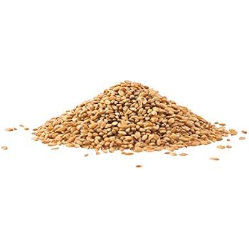 wheatgrass sprouting wheat organic spring seeds lbs grown bulk seed hard usa