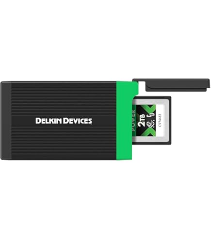 Amazon.com: Delkin 512GB CFexpress Type B 4.0 Memory Card for