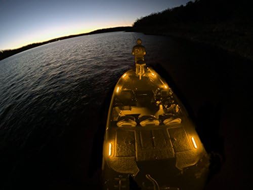 LEDhead Boat Interior LED Lighting Kit (Amber)
