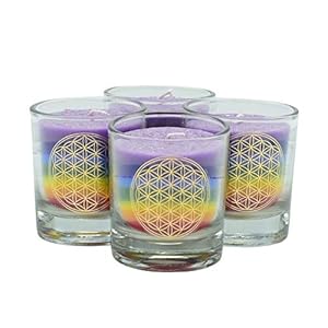 Palm Light Nuance 4041678001827 Kaarsen, 4-delige set, palmwas, veelkleurig