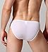 WINDAY Men Briefs Breathable Ice Silk Triangle Bikinis and Briefs D318