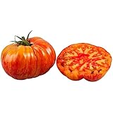 30+ Giant 1-2 LB Mr. Stripey Tomato Seeds, Heirloom Non-GMO, Low Acid, Indeterminate, Open-Pollinated, Rich Flavor, from USA
