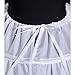ZJchao 6-Hoop Hoops Petticoat White Bridal Crinoline Petticoats Slips Underskirt (6-Hoop Petticoat)