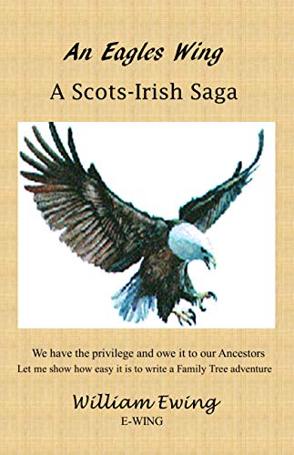 An Eagles Wing E Wing