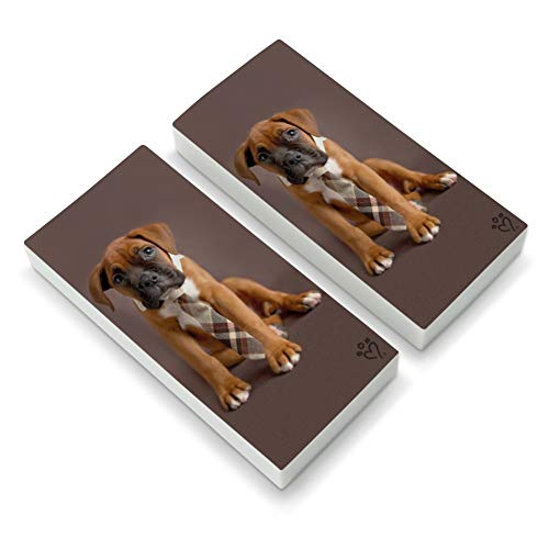 Boxer Puppy Dog Sitting with Tie Eraser Set of 2