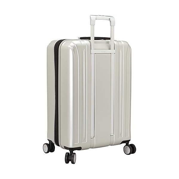 delsey paris titanium hardside