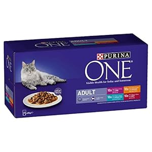 Purina ONE Adult Cat Food Mini Fillets in Gravy, 40 x 85g