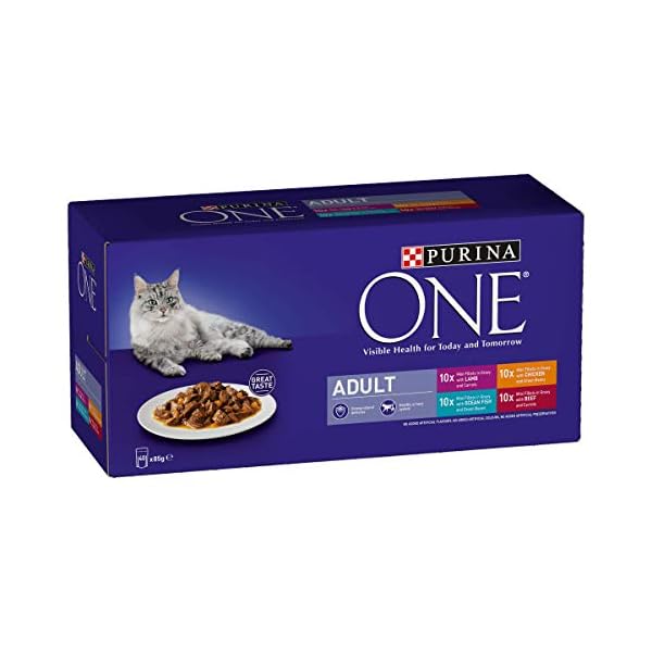 Purina-ONE-Cat-Food-Mini-Fillets-in-Gravy-40-x-85g Purina ONE Adult Cat Food Mini Fillets in Gravy, 40 x 85g