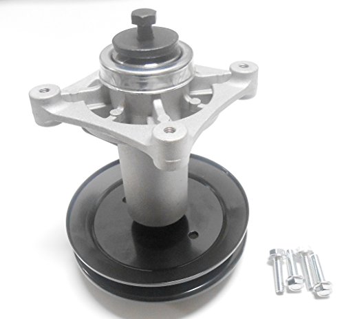 Raisman AYP 587125401 Spindle Assembly (1)