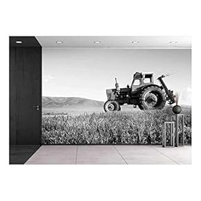 Tractor Agriculture Tranquil Remote Suburb Field Concept - Removable Wall Mural | Self-Adhesive Large Wallpaper - 66x96 inches