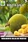 Livro Fruta Jaca