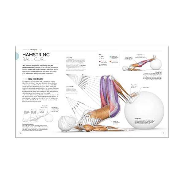 Science of Strength Training: Understand the anatomy and physiology to transform your body (DK Science of)