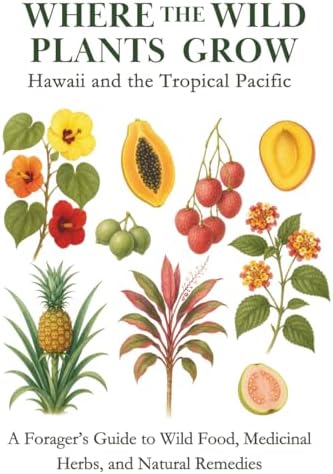 【絶版・大判】ハワイ植物図 A Hawaiian Florilegium 洋書 Flowers and Plants of Hawaii: Pocket Guide Series: Paul Wood, Ron
